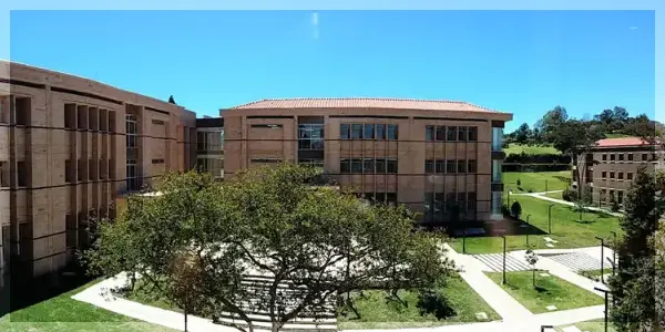 Carreras UDEA | Universidad de Antioquia