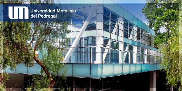 Carreras UMP | Universidad Motolinía del Pedregal
