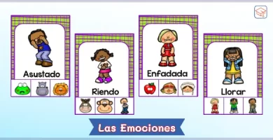 Fichas didácticas para trabajar las emociones básicas - PDF