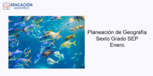 Planeación de Geografía - Sexto Grado SEP | Enero 2026