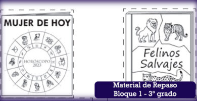 Material de repaso bloque 1 para el tercer grado de primaria - PDF