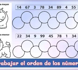 Actividades para trabajar el orden de los números para niños