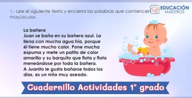 Cuadernillo de Actividades de Primer Grado de Primaria - PDF