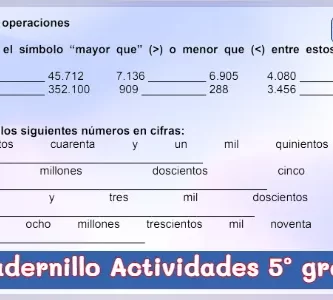 Cuadernillo de Actividades de Quinto Grado de Primaria - PDF