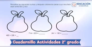 Cuadernillo de Actividades de Segundo Grado de Primaria - PDF