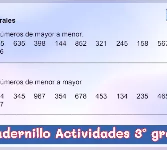 Cuadernillo de Actividades de Tercer Grado de Primaria - PDF