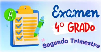 Examen del Segundo Trimestre para el cuarto grado de primaria - Respuestas