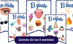 Llavero de los cinco sentidos para niños de primaria - PDF
