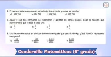 Cuadernillo de Matemáticas para sexto grado de primaria - PDF