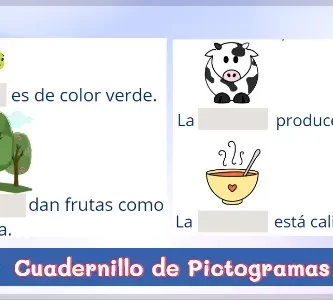 Cuadernillo de Pictogramas - Comprensión lectora