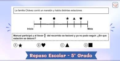 Cuadernillo de repaso escolar quinto grado de primaria - PDF
