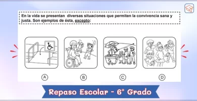 Cuadernillo de repaso escolar para sexto grado de primaria - PDF