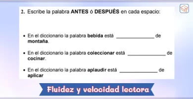 Ejercicios de fluidez y velocidad lectora para niños de primaria - PDF